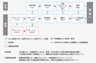 キャリアアップの流れの図 - 総合 職 キャリア アップ