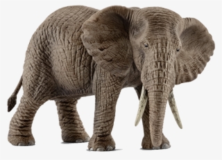 Schleich African Elephant Female