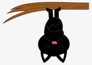 A Hanging Bat Nap By Porygon - Hanging Bat Clipart Png