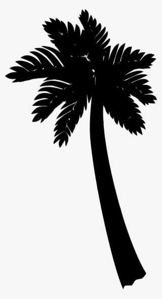 Download Png - Palm Trees