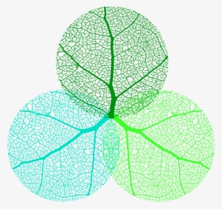 Three D Wellness Specializes In Personalized Functional - Spirit Body Mind Icons