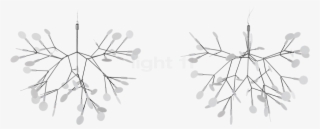 Heracleum Ii Pendant Light Png