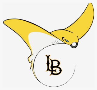 A Transfer Student In Her Senior Year At Cal State - Cal State Long Beach