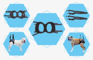 Frequently Asked Questions - Boxer