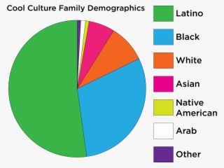 About Us - Cultural Demographics