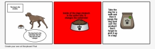 Dog Enzyme