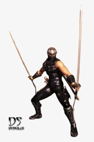 Ninja Gaiden Stand - Armour
