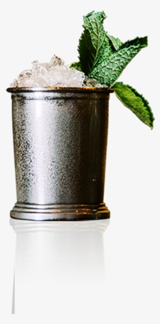 Canton Julep - Vodka And Tonic