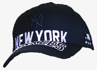 Report Abuse - Baseball Cap