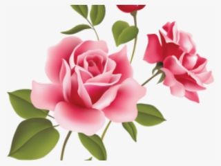 Pink Rose Clipart File - Rose Flowers Vector Png