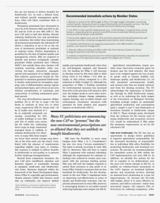 Illustration For The Tale Of Prince Ivan, The Firebird