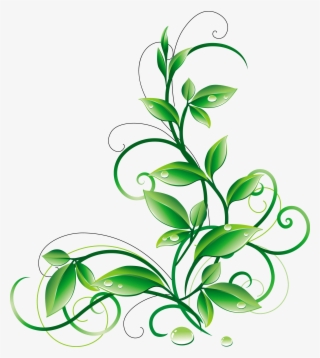 A Orig Png Pinterest Aorigpng - Green Color Flower Png