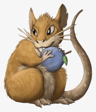 Matti-cate - Kangaroo Rat