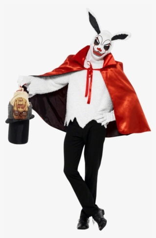 Magician Bunny Halloween Costume