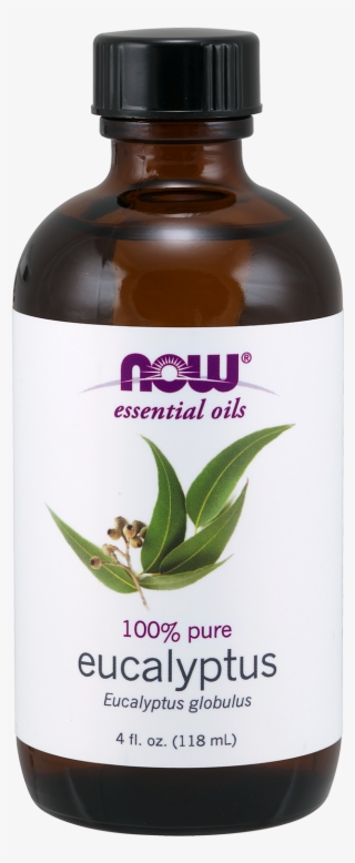 Now Eucalyptus Oil - Essential Oil Eucalyptus