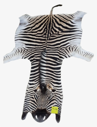 Zebra Skin Pa-16 - Zebra