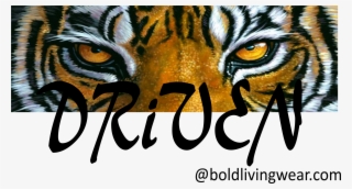 S769520350182633219 P66 I4 W2560 - Hahnville High School Mascot