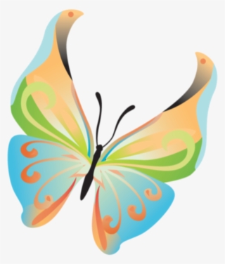 Image Du Blog Zezete2 - Lepidoptera