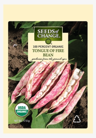 Organic Tongue Of Fire Dry Soup Bean Seeds - Organic