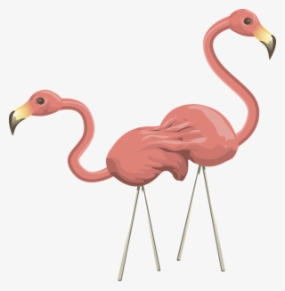 Flamingos, Pink, Birds, Wildlife, Two, Pair - การ์ตูน นก ฟ ลา มิ ง โก้ Png