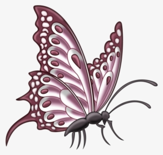 Image Du Blog Zezete2 - Pink Butterfly Side