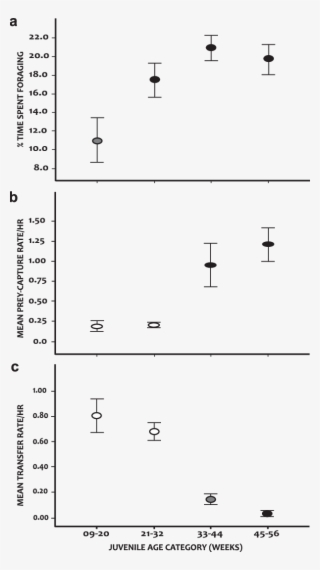 Development Of Prey Acquisition - Number