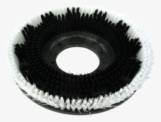 Maxiplus® Rotary Carpet Brushes - Circle