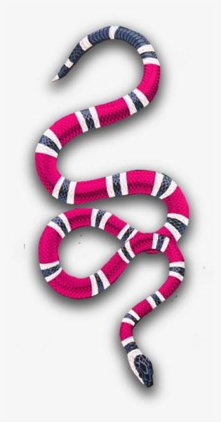 Sea Snake
