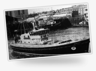 The Newcraig - Clyde Steamer