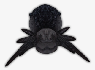 Broodmother Ari - Octopus