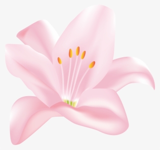 Pink Flower Clip Art Png Transparent Image