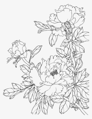 Flower Sticker - 牡丹 白描