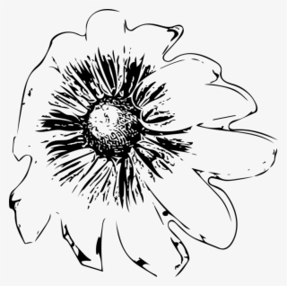 Floral Design Cut Flowers Drawing Monochrome - Sunflower