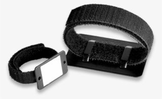 Visit Blog Post - Buckle