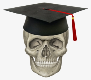 Cap & Skull - Skeleton Head Png