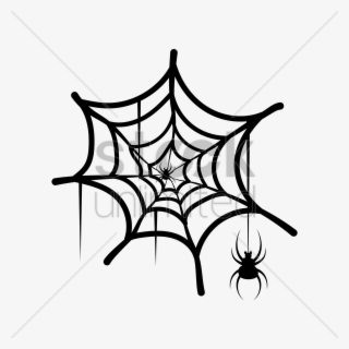 Drawn Spider Web Illustration Png - Spider And Web Vector