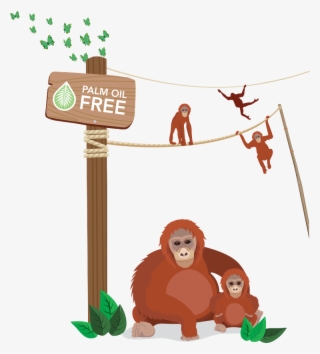 Use The Links Under Useful Sources Of Information To - Palm Oil Cartoon