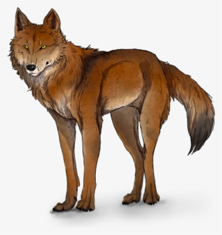 Ginger And White Wolf