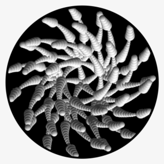 Rattle Wheel - Circle