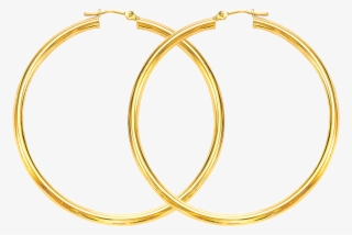 14kt Gold Hoop Earrings Photo - Body Jewelry