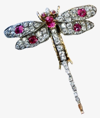 807 X 943 2 - Insect Jewellery