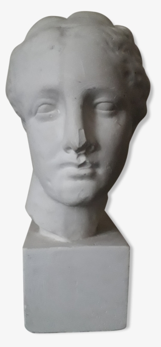 Bust Plaster Aphrodite Early Xx Th - Bust
