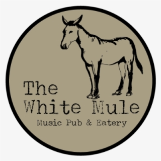 Tickets For Real Work, Cayla Fralick, A Fragile Tomorrow - Foal