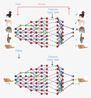 During This Process, The Layers Learn The Optimal Features - Diagram