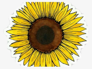 Yellow Flower Clipart Tumblr Transparent - Sunflower Sticker