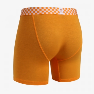 6in Boxer Brief - Underpants