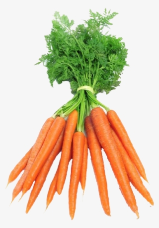 Zanahoria Manojos - Dutch Carrots