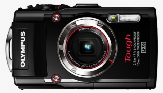 Foto Cogida De - Olympus