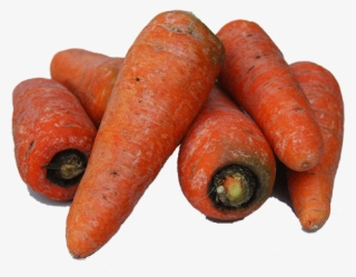 Img - Baby Carrot