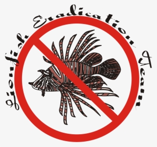 Lionfish - We Shouldn T Smoke
